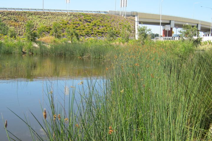 Port of Brisbane Motorway Upgrade (Port Connect)