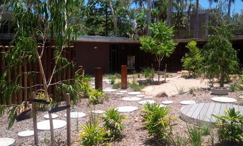 JMac -JCU Act for Kids