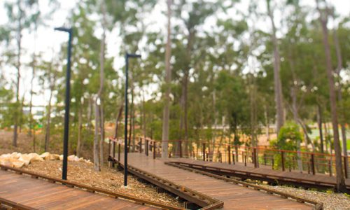 JMac - Robelle Domain