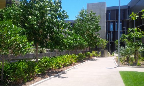 JMac - Townsville Hospital