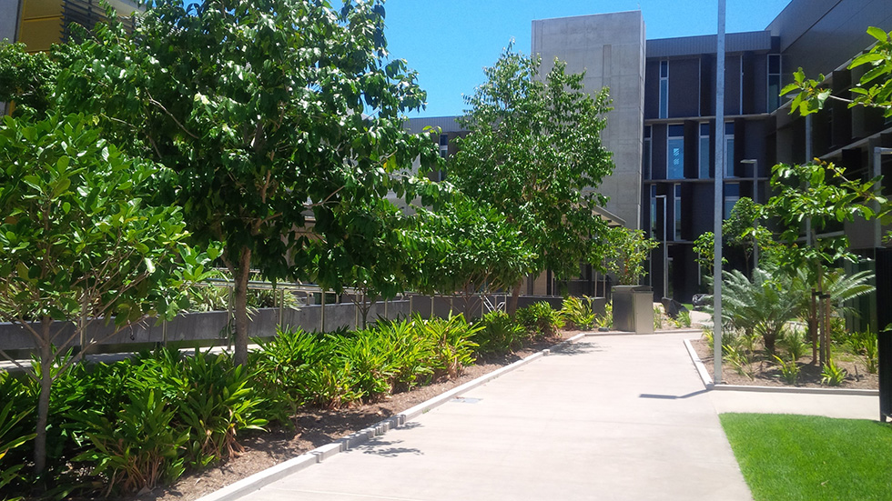 JMac - Townsville Hospital
