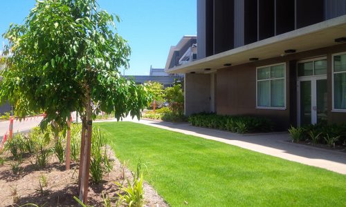 JMac - Townsville Hospital